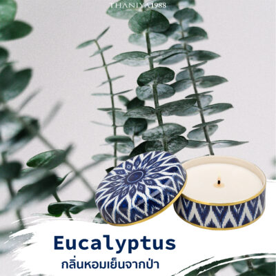 relaxing scents-eucalyptus