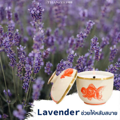 relaxing scents-lavender