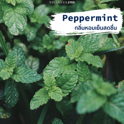 relaxing scents-peppermint